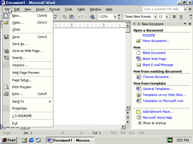Windows 2000 Running MS Word XP (2000)